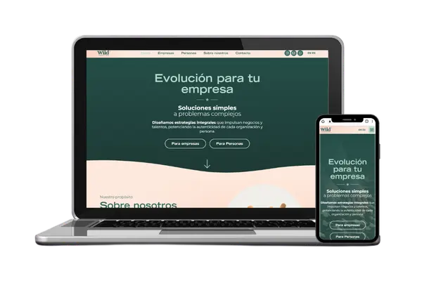 Diseño web para Wild Consultora